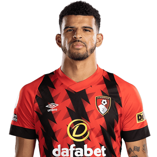 Image of Solanke (Credit https://fantasy.premierleague.com/)