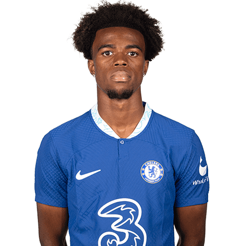 Image of Chukwuemeka (Credit https://fantasy.premierleague.com/)