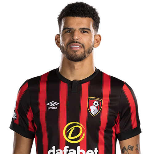 Image of Solanke (Credit https://fantasy.premierleague.com/)